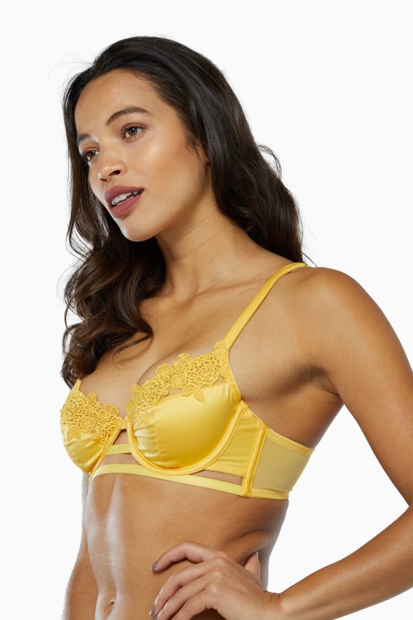 Vivienne Mustard Net Satin and Lace Trim Bra Supply