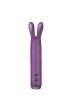 Je Joue Rabbit Bullet Clitoral Vibrator Purple Discount