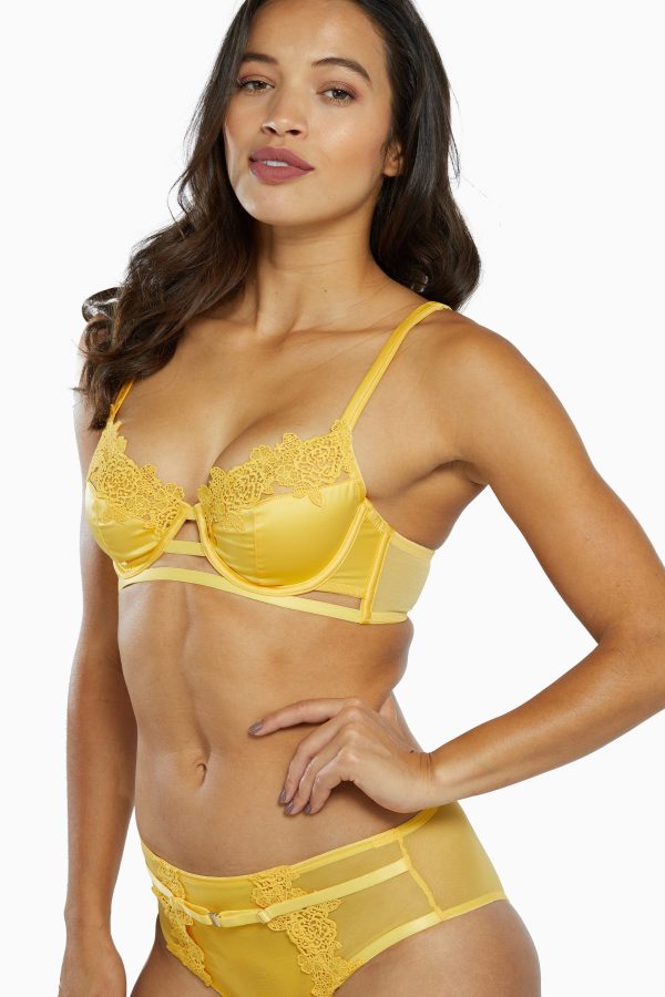 Vivienne Mustard Net Satin and Lace Trim Bra Supply