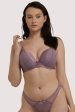 Sophia Heather Purple Plunge & Push Up Bra Online