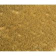 Landscape Segment Wild Grass Meadow Hot on Sale