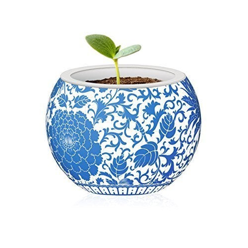 3D Flowerpot Oriental Flower Discount