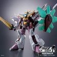 HG 1 300 DARK GOSAURER Hot on Sale