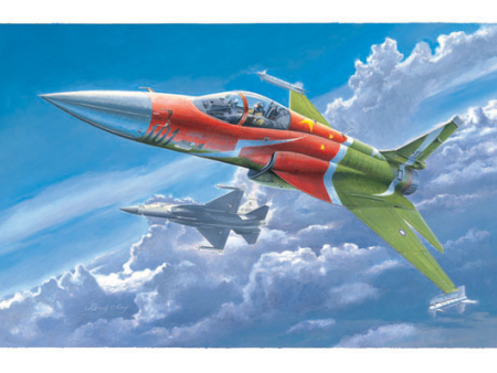 02815 1 48 PLAAF FC1 Fierce Dragon Pakistani JF17 Thunder Plastic Model Kit Online Sale