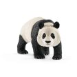 Giant panda male For Cheap