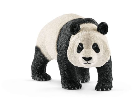 Giant panda male For Cheap