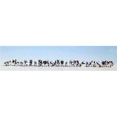 N Black & White Dairy Cows (27) Online now