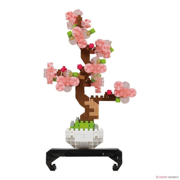 Bonsai Sakura For Sale