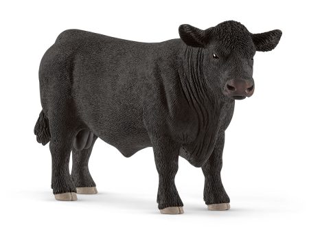 Black Angus bull Online Hot Sale