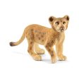 Lion cub Discount