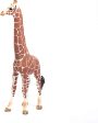 Giraffe female For Cheap