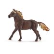 Mustang Stallion Online Sale