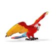 Macaw Online now