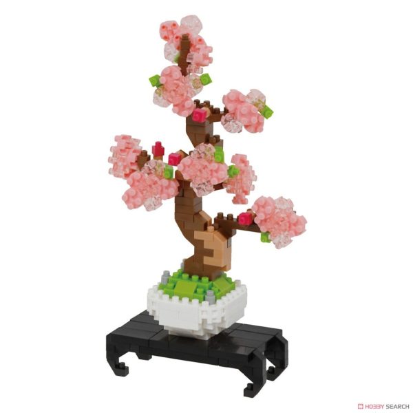 Bonsai Sakura For Sale