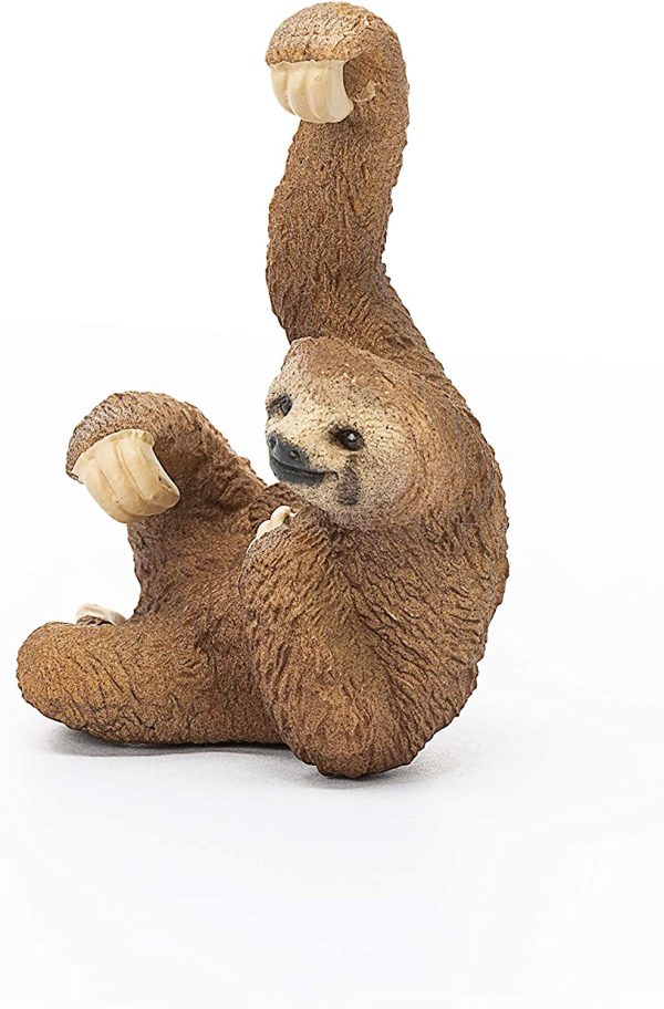 Sloth on Sale