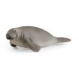 Manatee Sale