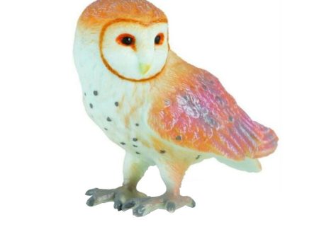 Barn Owl Fashion