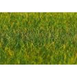 Ground Cover Fibres GrassLong 30g Online Hot Sale