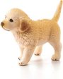 Golden Retriever puppy For Sale