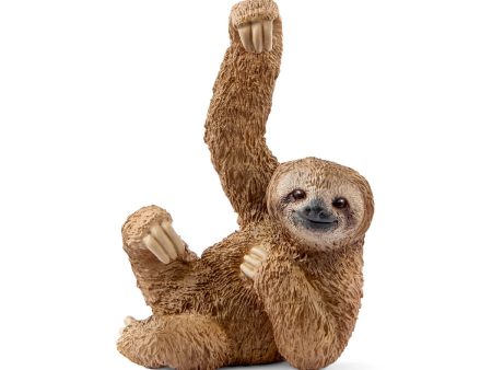 Sloth on Sale