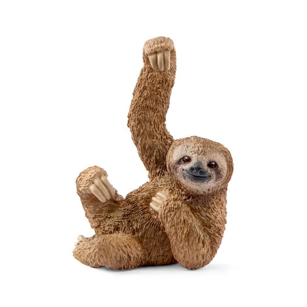 Sloth on Sale