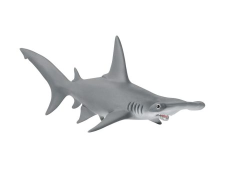 Hammerhead Shark For Discount