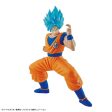 ENTRY GRADE SUPER SAIYAN GOD SUPER SAIYAN SON GOKU 3L Cheap