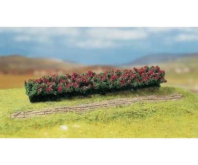 Premium Hedges (3)  (Red Blooming) Online Sale