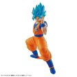 ENTRY GRADE SUPER SAIYAN GOD SUPER SAIYAN SON GOKU 3L Cheap