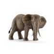 African elephant female on Sale